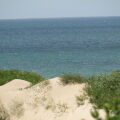 Image 14