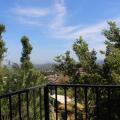 Alex Home Stay