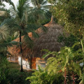 Tekanda Lodge
