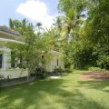 Coconut Grove