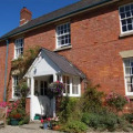 Image 19