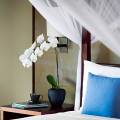 Revivo Wellness Resorts