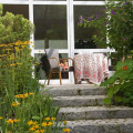 Image 13