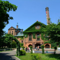 Image 36