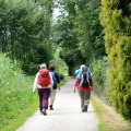 Image 13