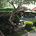 Image 13