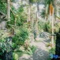 Beji Ubud Resort