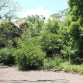 Image 32