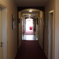 Image 15