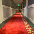 Image 13