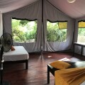 Elephant Lake Yala