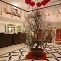 Adaline Hotel & Suite Danang