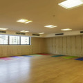 Image 15