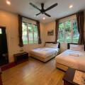 Arundina Cameron Highlands