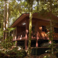 Permai Rainforest Resort