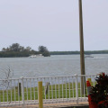 Image 31