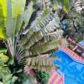 Naga Cottages