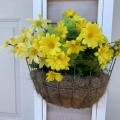 Image 19