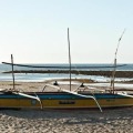 Image 13