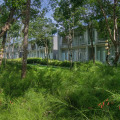 Sala Phuket Mai Khao Beach Resort