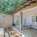 The Frangipani Tree By Edwards Collection