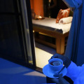 Image 21