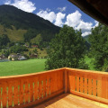 Image 13