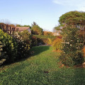Image 41