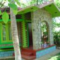 Kairali - The Ayurvedic Healing Village