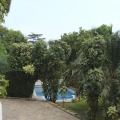Image 13