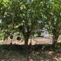 Image 14