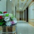 Dream Palace Hotel
