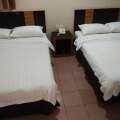 Hotel Traveller