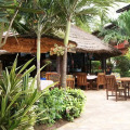 Image 21