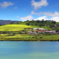 Oak Ray Summer Hill Breeze