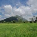 Kalundewa Retreat