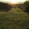 Image 23