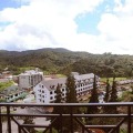 Parkland Apartment