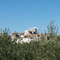 Image 21