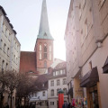 Image 15