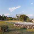 Image 31
