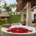 Maya Ubud Resort & Spa