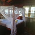 Little Pumpkin Cabanas