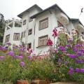 Ashley Resorts