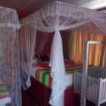 Little Pumpkin Cabanas