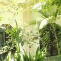 Dionis Villa