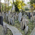 Image 13