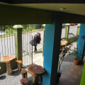 Image 9