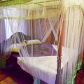 Little Pumpkin Cabanas