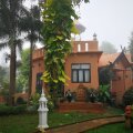 Image 11